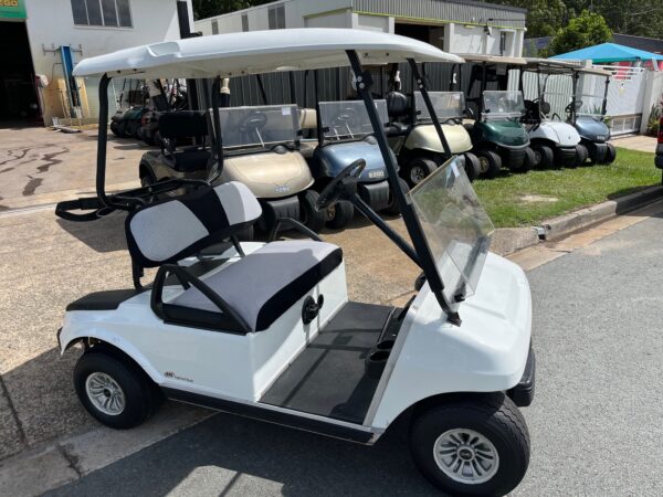 Club Car Ds 08 White U210 (4)