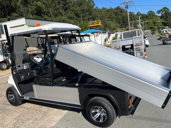 Ecar Magnum 25 Ute H8 E774(13)
