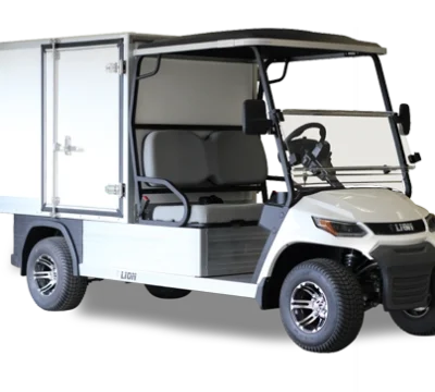 Carrymaxlaundry1 1