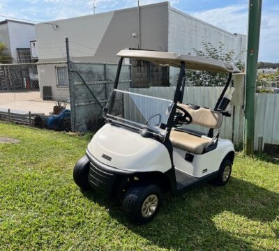 Ezgo Rxv 2020 Ivory Lithium E819 (2)
