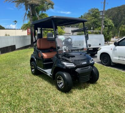 Lion Lithium 2025 Balck E835 (2)